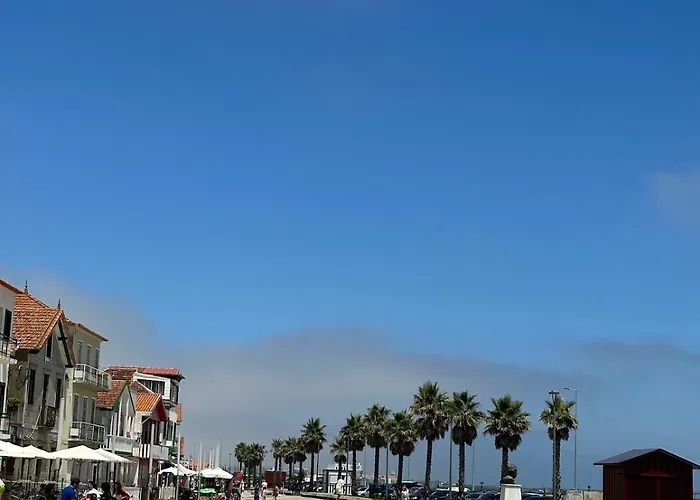 Premium & Pool 코스타노바